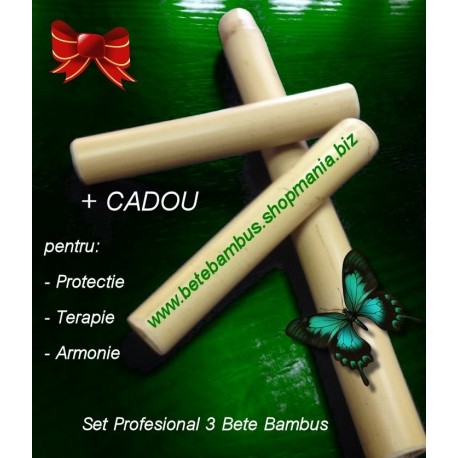Set Profesional 3 Bete Bambus pentru Masaj 60 + 20 + 20 cm - diametru 2 cm - 4 cm + CADOU la ALEGERE