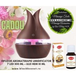 DIFUZOR AROMAterapie UMIDIFICATOR (300 ml)  LAMPA VEGHE + miniUSB + ULEI parfumat HEM + CADOU