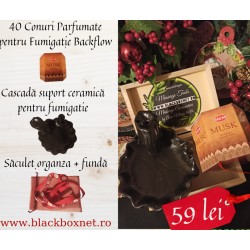 Pachet CADOURI Craciun (Conuri Parfumate Fumigatie + Fantana Ceramica Backflow) + CADOU