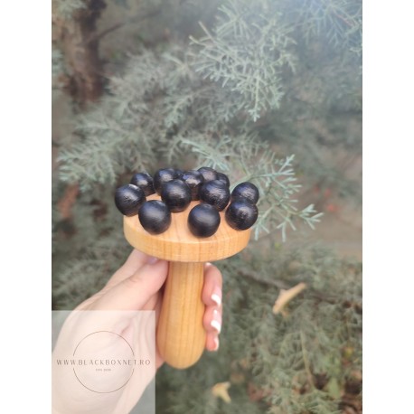 Ciuperca Champinon deLUX dintr-un singur Lemn cu pini negri si maner lung + CADOU